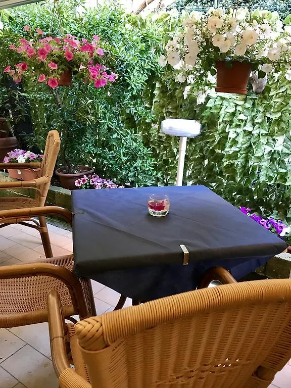 Hotel St Pierre Rimini 3*,
