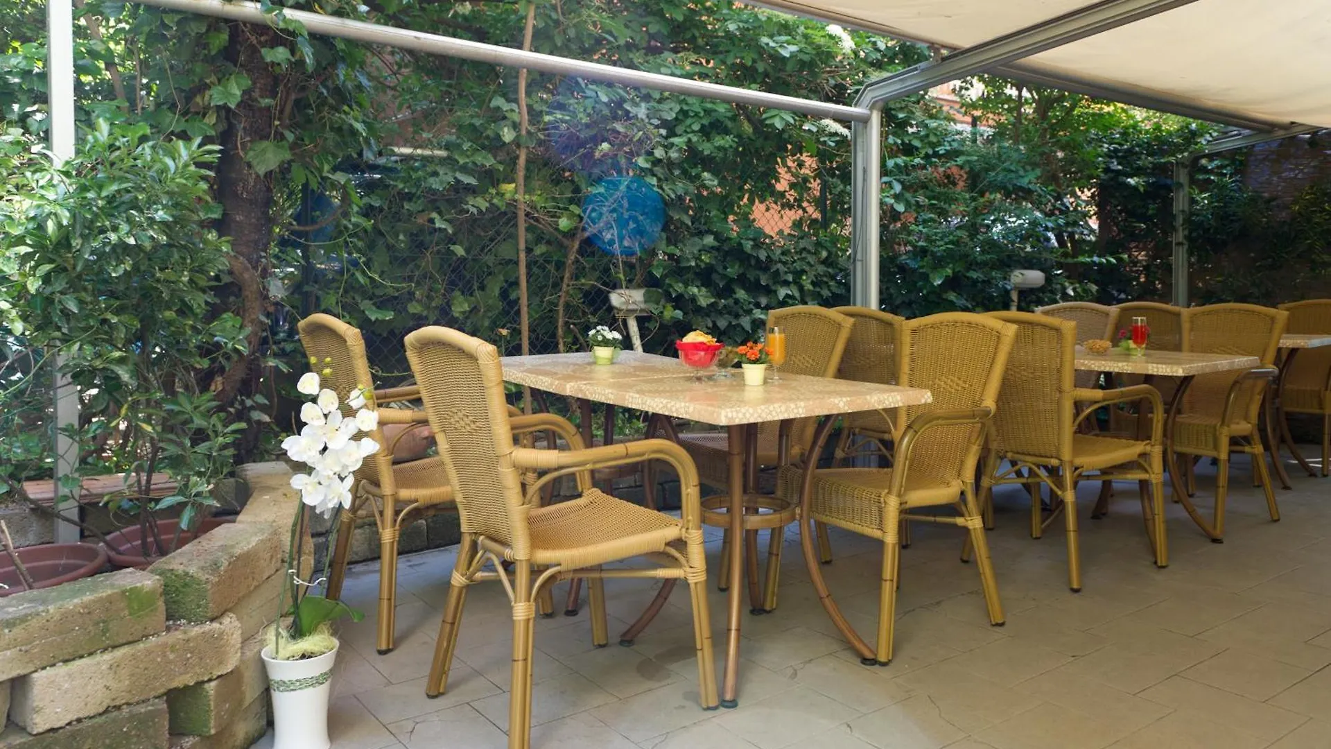 Hotel St Pierre Rimini